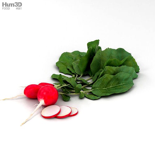 Radish