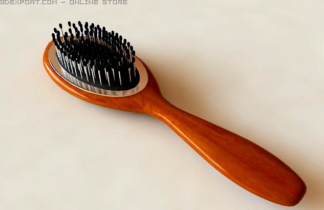 Brush to hair 3D Model