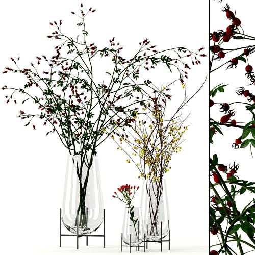 Twigs in Echasse Vases