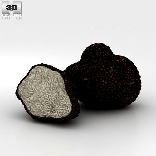 Truffle