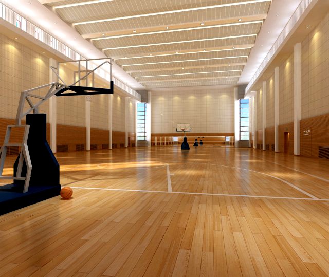 Basketball 002 3D Model