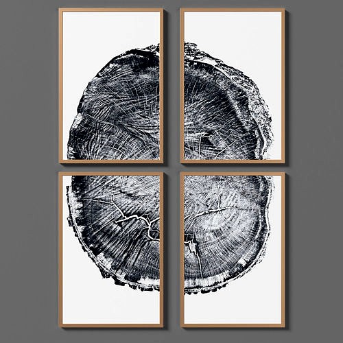 Oak Tree Rings Black and White