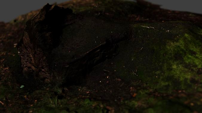 Tree Stump