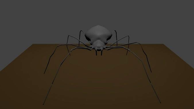spider lowploy