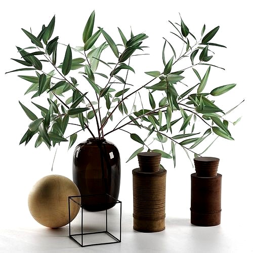 Eucalyptus with Decorative Objects