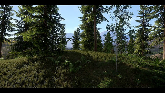 Realistic Forest Pack - UE4