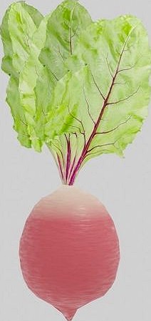 LowPoly Beetroot
