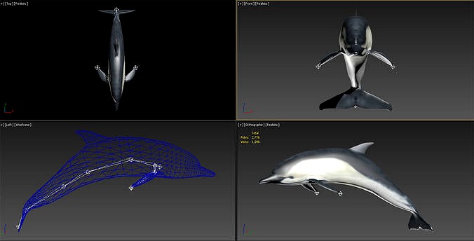 3DMAX model-dolphin binding animation