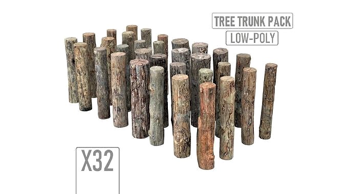 Tree Trunk Pack Scan