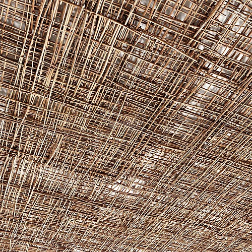 Branch ceiling