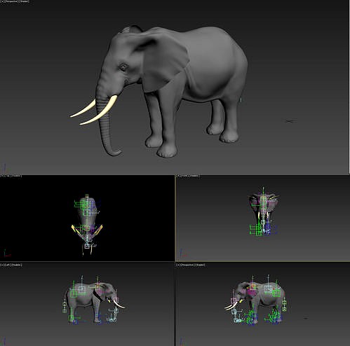 3DMAX model elephant with binding belt animation