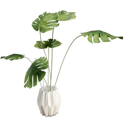 Philodendron Interior Plant And Vase