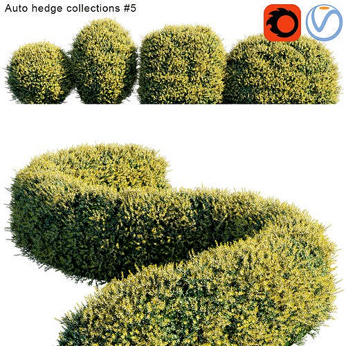 Auto hedge collections 5