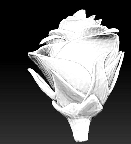 Rose flower | 3D