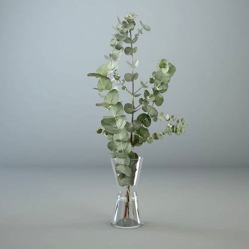 Eucalyptus in a glass vase 3D model