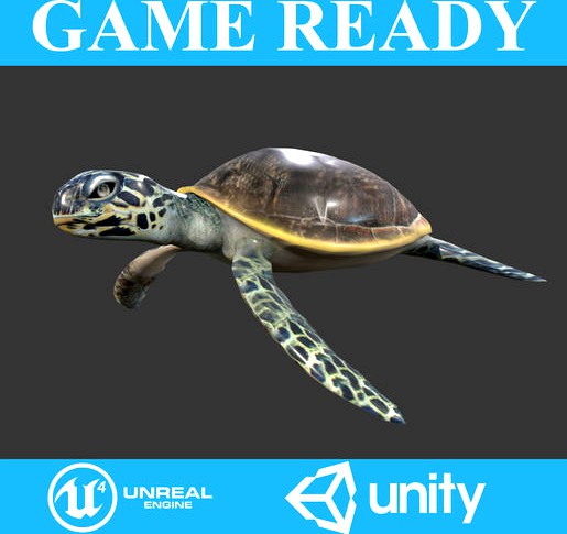 TURTLE 3D MODEL - ANIMATED