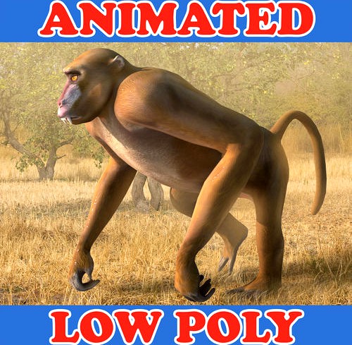 Baboon 3D Model - Animated