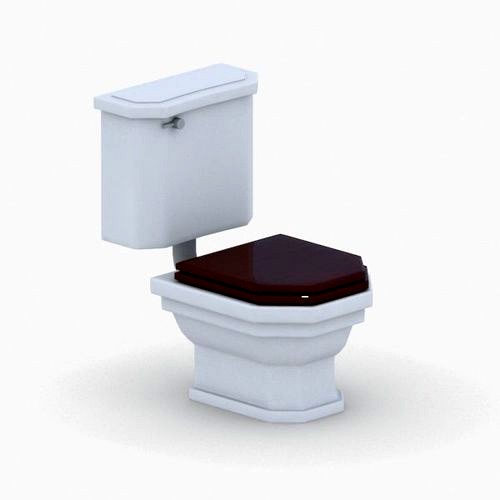 1543 - Toilet