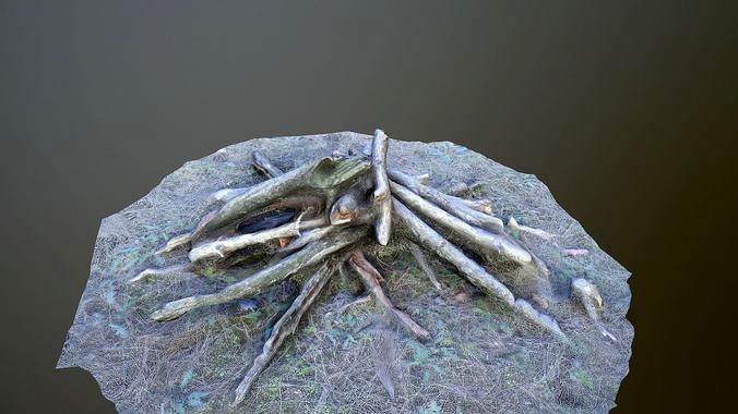 Campfire photoscanned