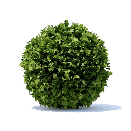 Spherical Hedge
