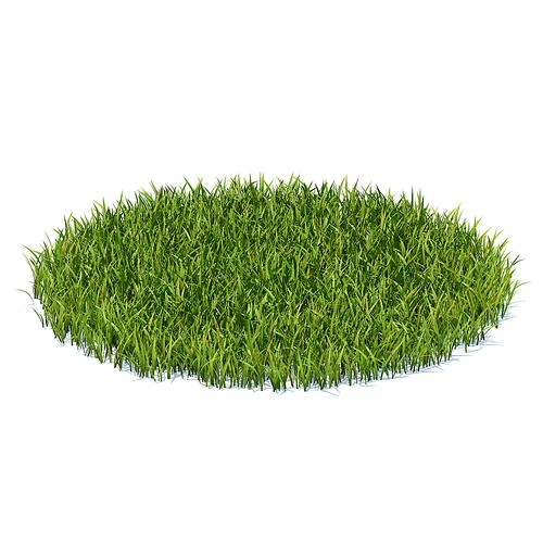 Grass 3D Model