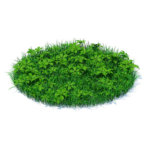 Grass with Plants 3D Model