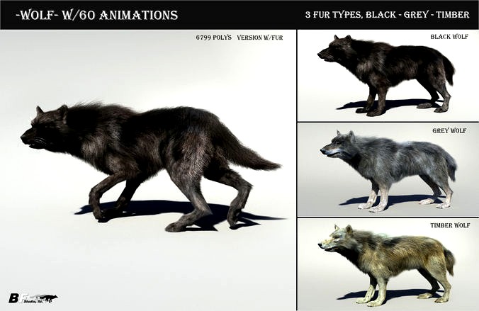 Wolf with hair and fur modifier