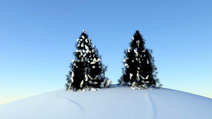 Snowy trees