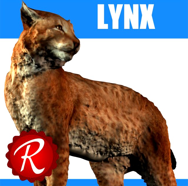 Lynx 3D Model