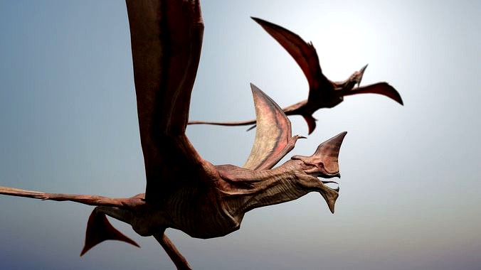 Flying creature
