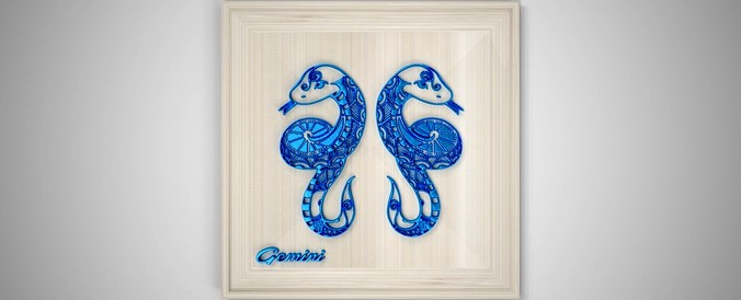 Gemini Frame