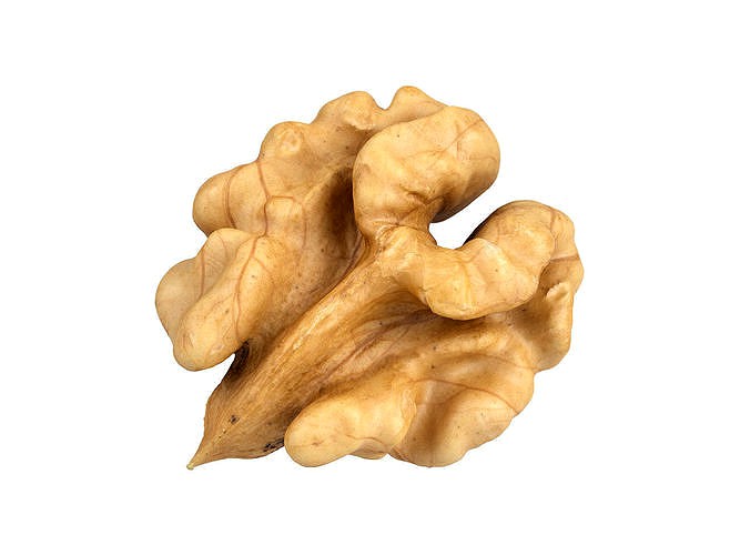 Photorealistic Walnut Kernel 3D Scan