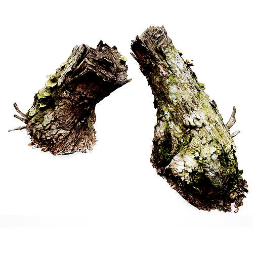 Realistic Stump 15- UE4 Asset and FBX Files Low-poly 3D model