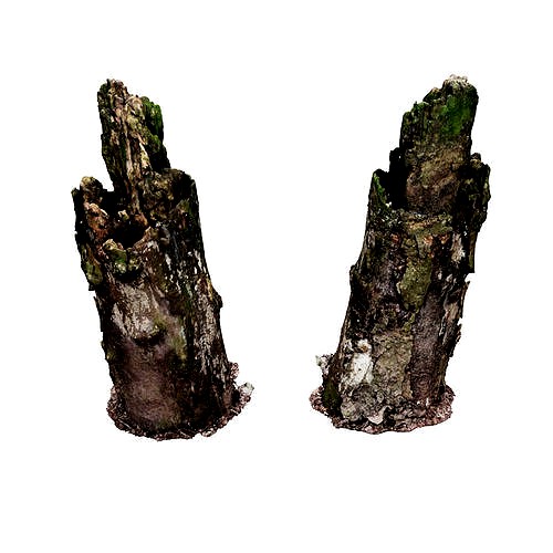 Realistic Stump 12- UE4 Asset and FBX Files Low-poly 3D model