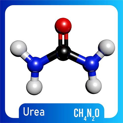 Urea 3D Model CH4N2O