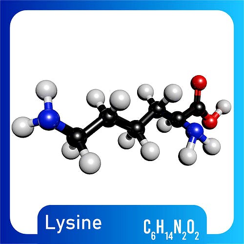 Lysine 3D Model C6H14N2O2