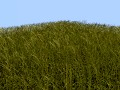 Tall Grass Tile 3D Model