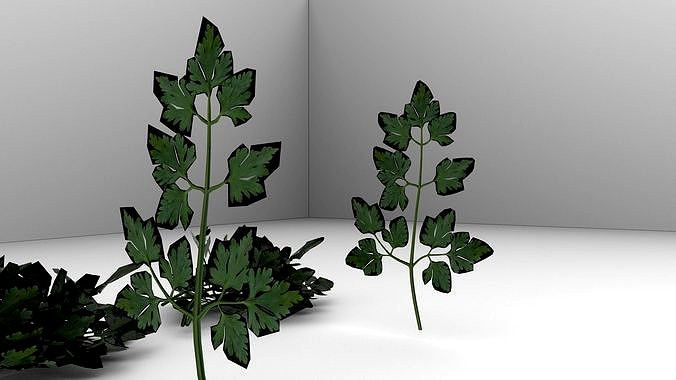 parsely