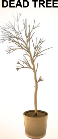 Dead Tree 3D Model