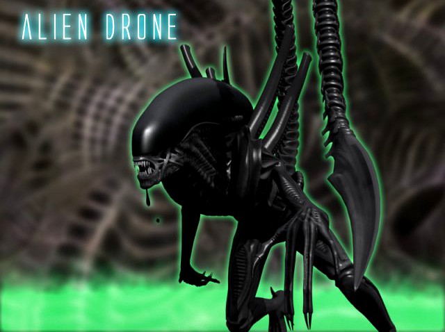 Xenomorph Alien Drone 3D Model