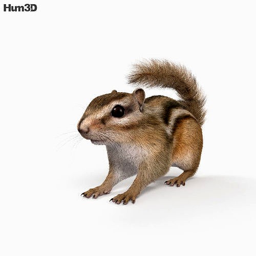 Chipmunk HD