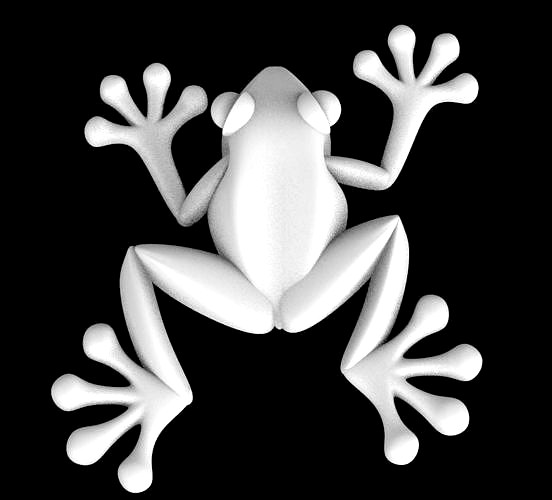 frog  toad