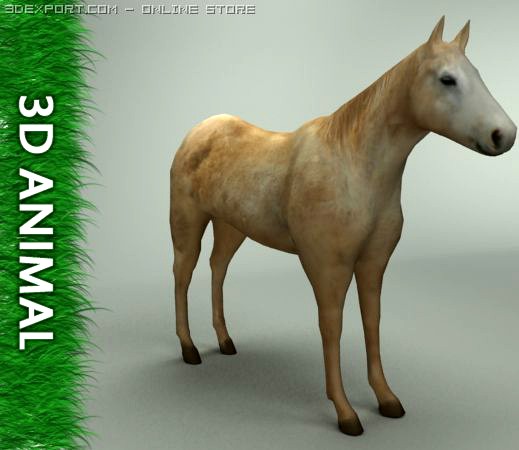 Horse 3d model 3D Model