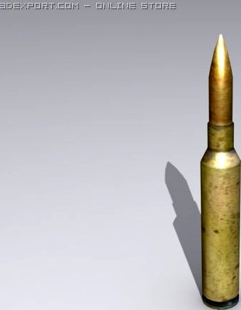 Rifel Bullet 3D Model