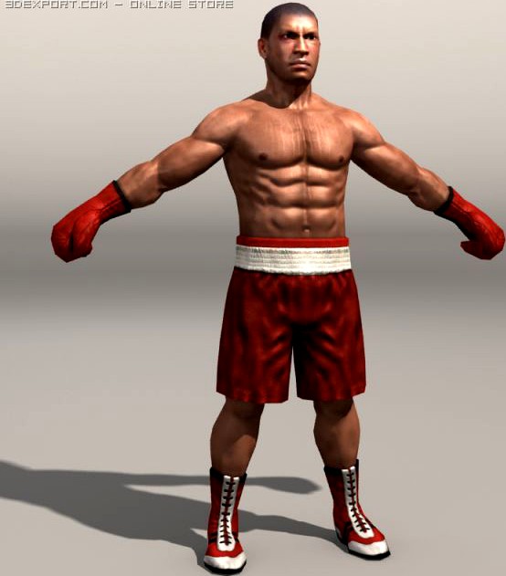 Boxer01 3D Model