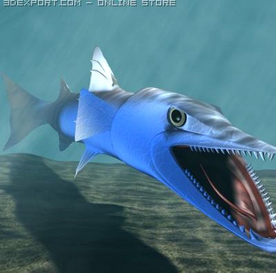 Killer Barracuda 3D 3D Model