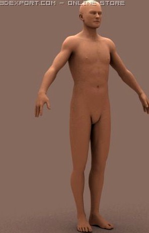 Male Body 01 3D Model