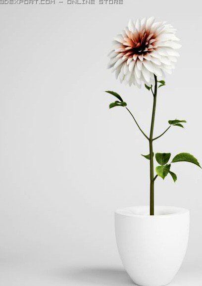 Flower in Vase CGAxis models 006 18 3D Model