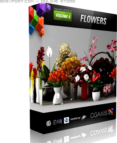 CGAxis models volume 6 FLOWERS 3D Model