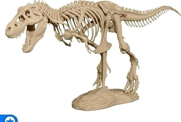 Trex Dinousour 3d model | 3D